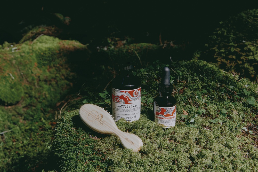  energizing_i_szczotka