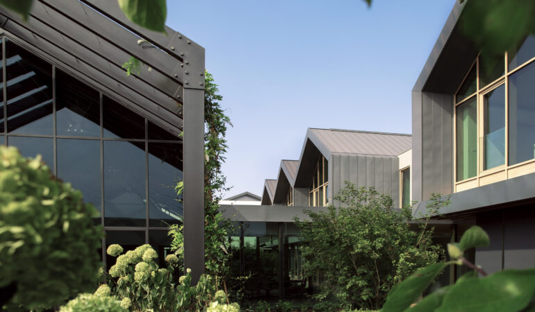 Zielony Kilometr Davines