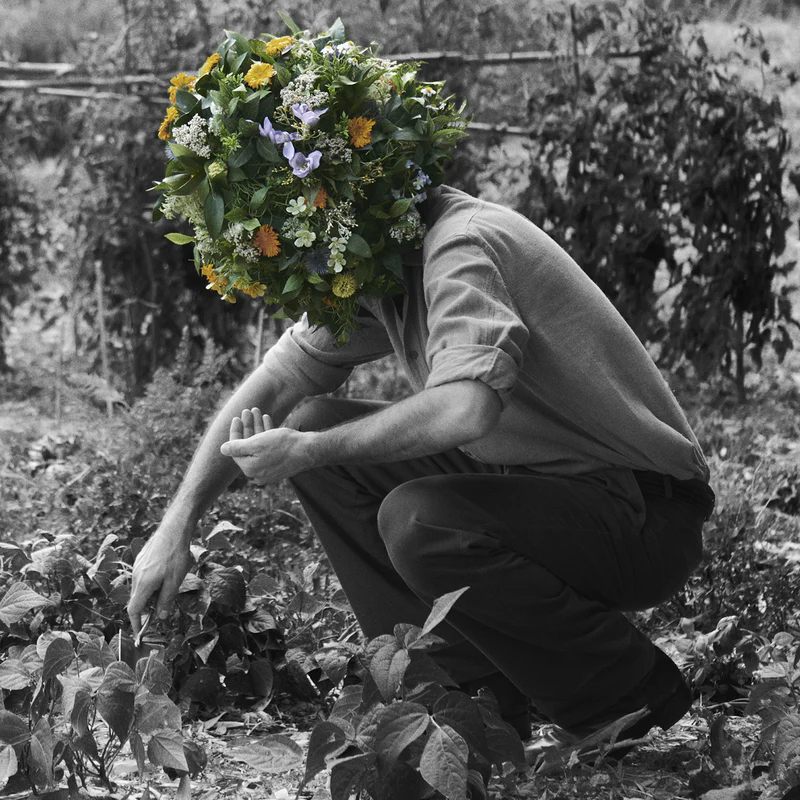 Mężczyzna z głową z kwiatów