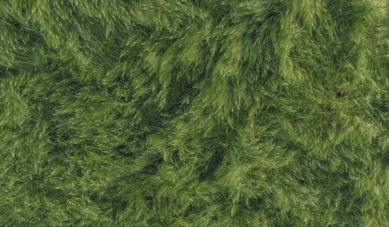 Ekologiczne opakowania