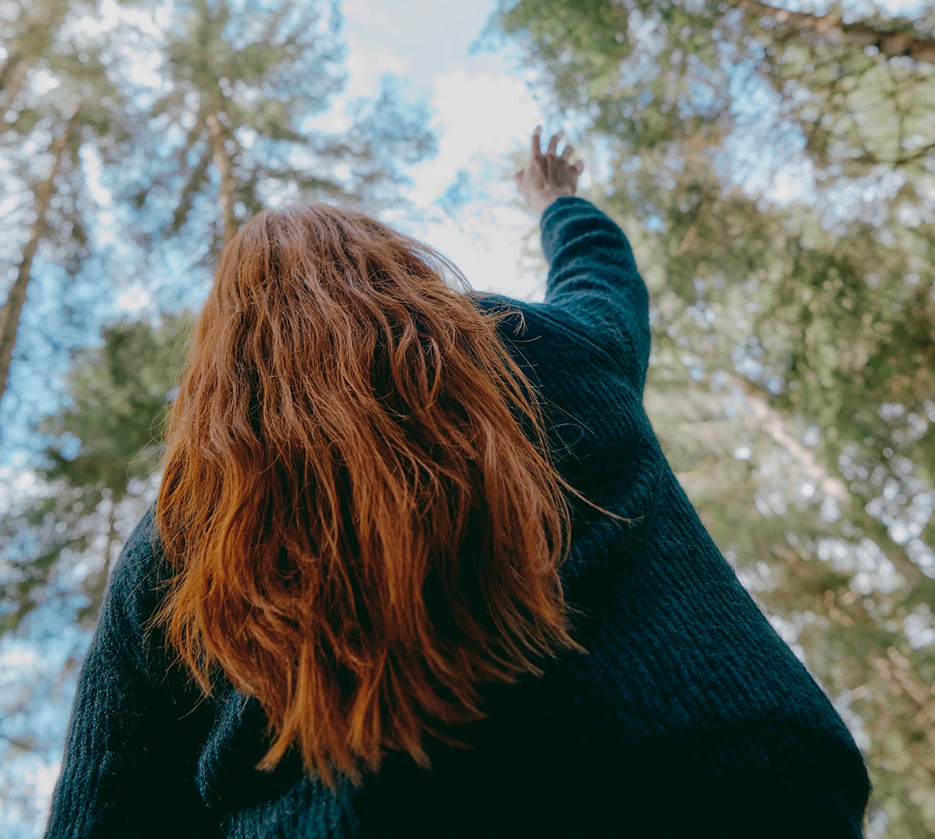 Sadzenie drzew Davines