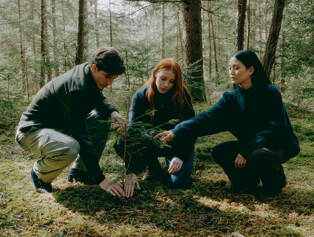 Sadzenie drzew Davines